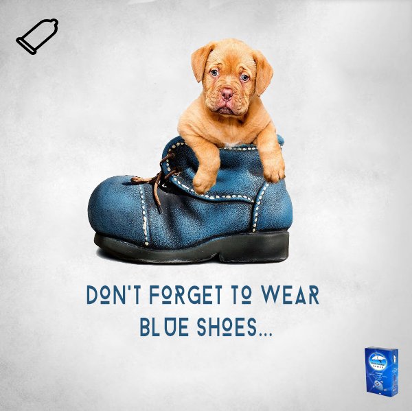 Cindy79335685's tweet photo. Dont forget to wear shoes for your safe sex love
#jeans #blueshoes #doggy #puppy #cutedog #pets #condom #lovewords️ #lovesex #condomforsafesex #likeforlikes #followforfollowback #subscribe #condomicon https://t.co/qclhMhdY6X