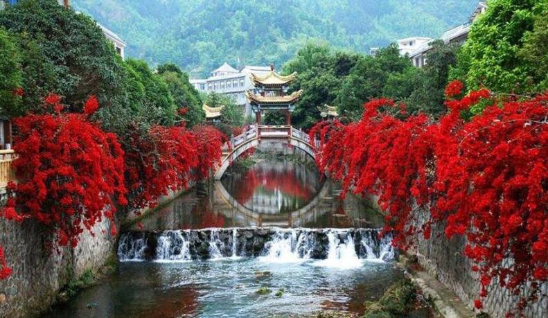 sergey_silkin's tweet photo. China 🐉⛩🏮 https://t.co/zUK6E1CB7w
