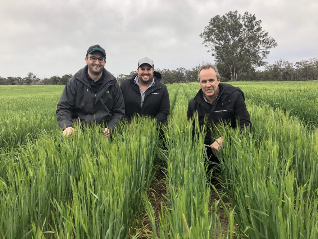 Matt Witney (@dmag_consultant) on Twitter photo Great day and attendance of the Dodgshun medlin mallee field day at Yaapeet/Rainbow district. Innovative farms challenging convention and great guest speakers-2 more field days to go👍<a href="/Brettfi46418699/">Brett fisher</a> <a href="/chriswalsh008/">Chris Walsh</a> <a href="/grantyates/">Grant Yates</a> <a href="/SeanM_DMAg_SA/">Sean Matthewson</a> <a href="/DSchub11/">David Schubert</a> <a href="/matthew31997687/">matthew staples</a> <a href="/dodgie/">David Dodgshun</a> Great day and attendance of the Dodgshun medlin mallee field day at Yaapeet/Rainbow district. Innovative farms challenging convention and great guest speakers-2 more field days to go👍<a href="/Brettfi46418699/">Brett fisher</a> <a href="/chriswalsh008/">Chris Walsh</a> <a href="/grantyates/">Grant Yates</a> <a href="/SeanM_DMAg_SA/">Sean Matthewson</a> <a href="/DSchub11/">David Schubert</a> <a href="/matthew31997687/">matthew staples</a> <a href="/dodgie/">David Dodgshun</a>
