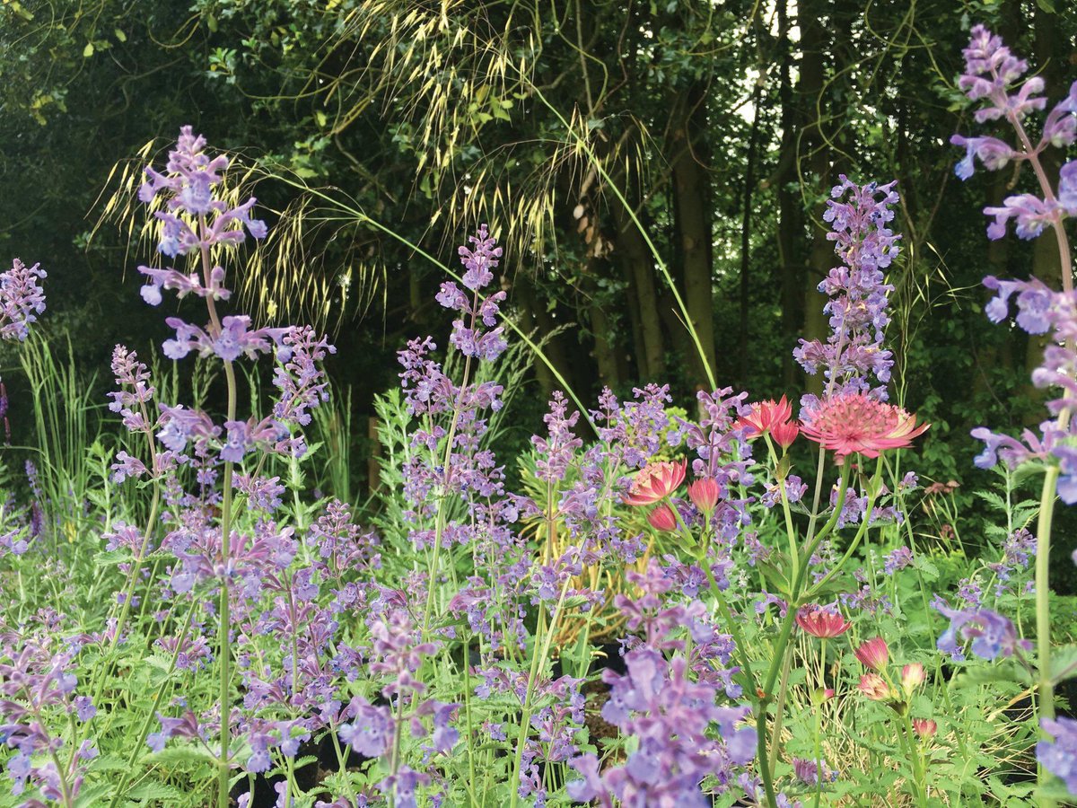 Whether your garden is great or small, make the most of it with @Catherine_CLC buff.ly/2MaRmMz