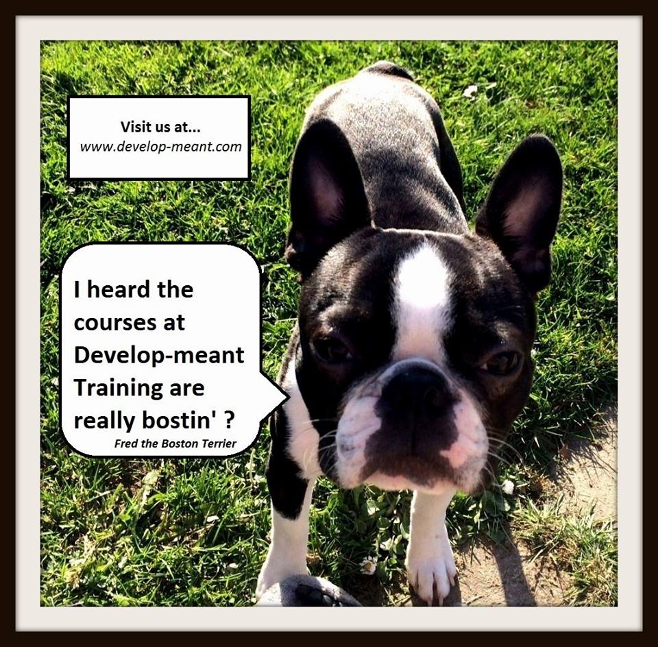 developmeant's tweet photo. #Careers #CEIAG #IAG #CareerAdvice #TAQA #Assessor #IQA #PTLLS #CTLLS #DTLLS #EducationTraining #Coaching #Mentoring #Leadership #Management #bostonterrier https://t.co/VvIg6Aep8L