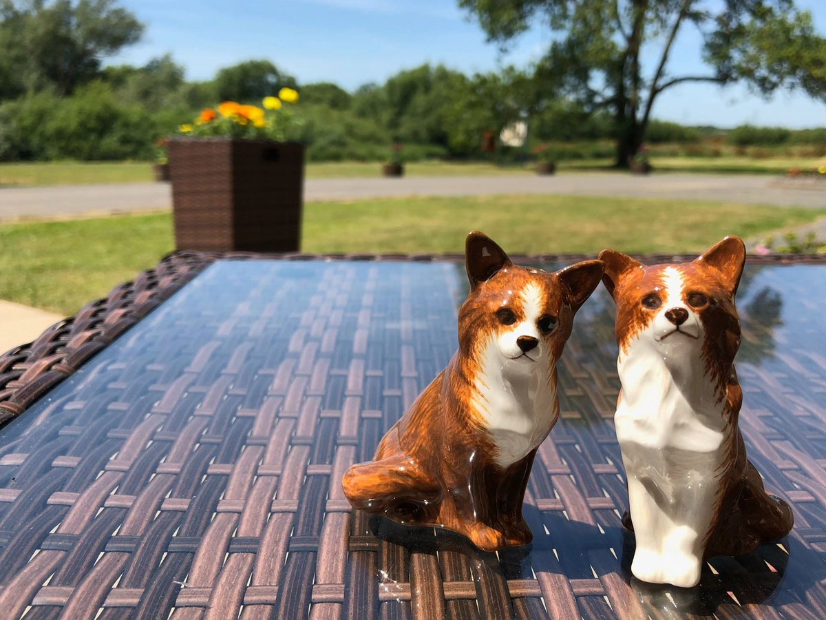 I know we’re biased, but we just LOVE these beautiful salt &amp; pepper pots! The perfect gift for your Chihuahua loving pals… ow.ly/8Cds30lzcYR