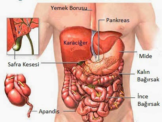 Saglik_ve_Spor's tweet photo. Üzüntü = Akciğerlerinizi  
Nefret, Kırgınlık = Kalbinizi  
Aşırı düşünce = Dalağınızı  
Korku, Endişe = Böbreklerinizi  
Kızgınlık, Sinir = Karaciğerinizi  YORAR... https://t.co/YUTpN8VSyM
