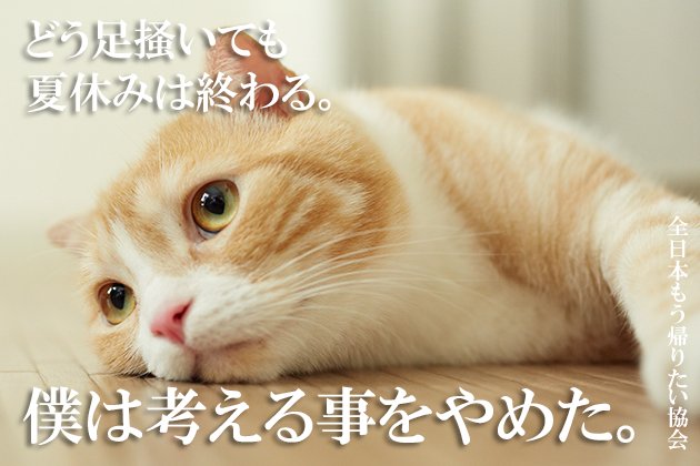 全日本もう帰りたい協会 S Recent Tweets 11 Whotwi Graphical Twitter Analysis