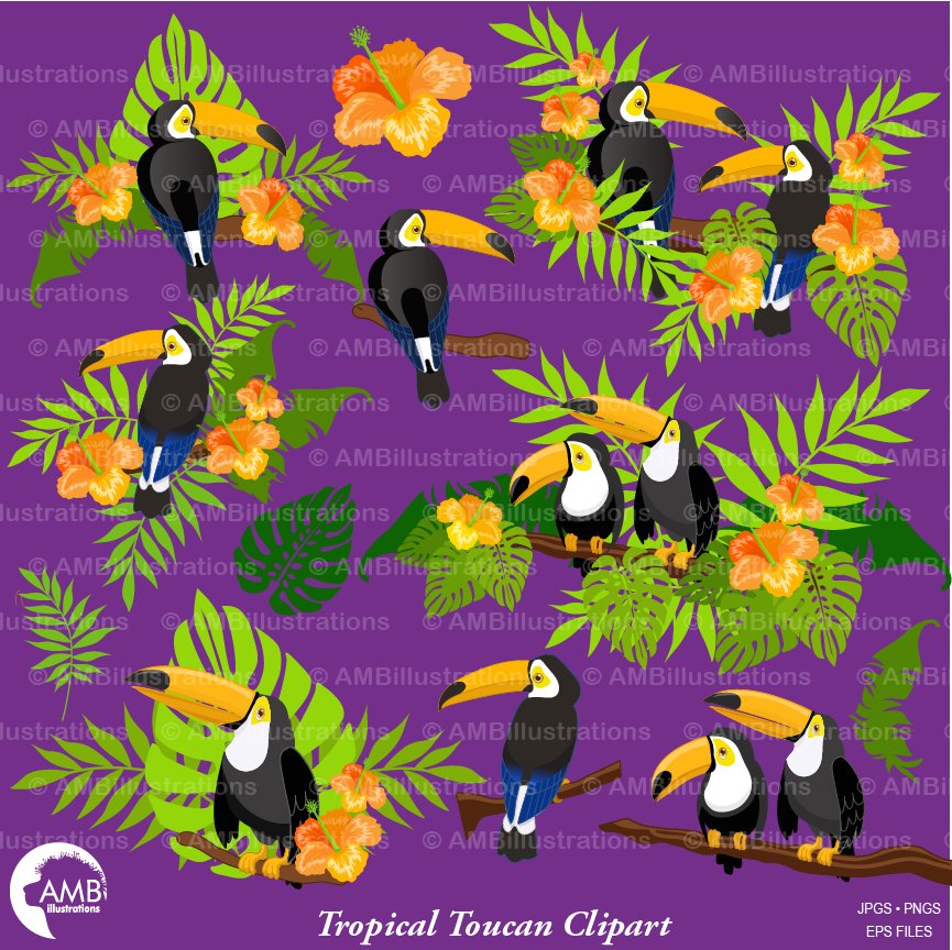AMBillustration's tweet photo. Good morning my Favorite FB friends!!! Here is a brand new clipart pack at AMBillustrations!  Elegant toucans surrounded by tropical scenery for all your scrapbooking, card or other projects! Let me know what you think!
Anne-Marie
#AMBillustrations #toucanclipart https://t.co/9peivTOyDX
