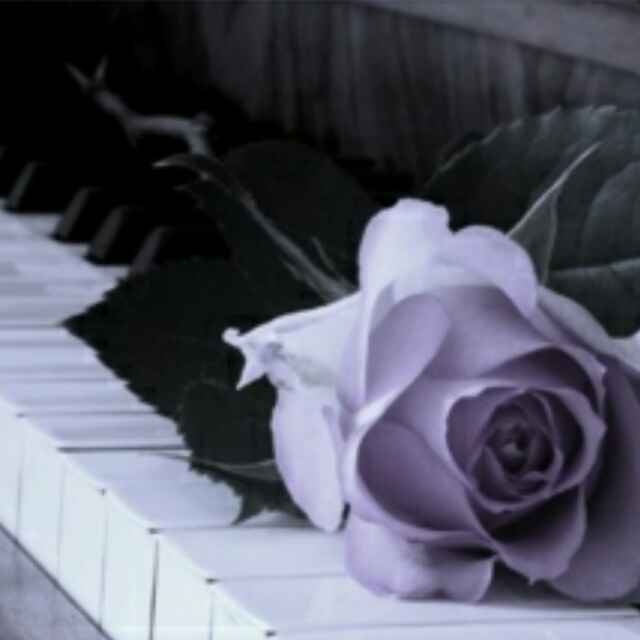 ليس كل ماتحبه يسعدك ، وليس كل ما تكرهه يحزنك ، فالسكين رغم نعومة ملمسها تجرحك ، والدواء رغم مرارة مذاقه يشفيك بإذن الله
#امبراطورية_الحروف