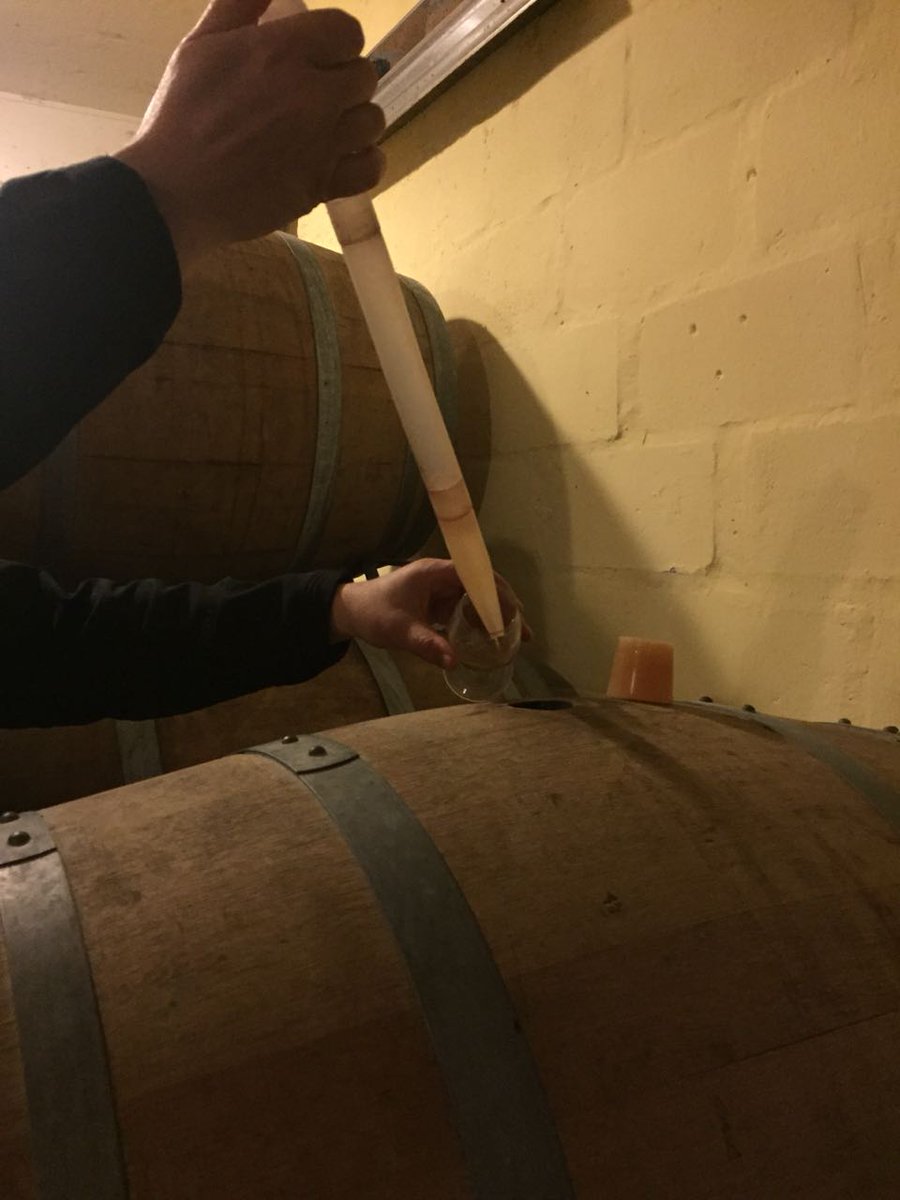 CaffeBlu's tweet image. In the making....Roussanne/Clairette blanche/Viognier blend soon to be available@caffeblu #artisanwines #lovewhatyoudo #springisintheair