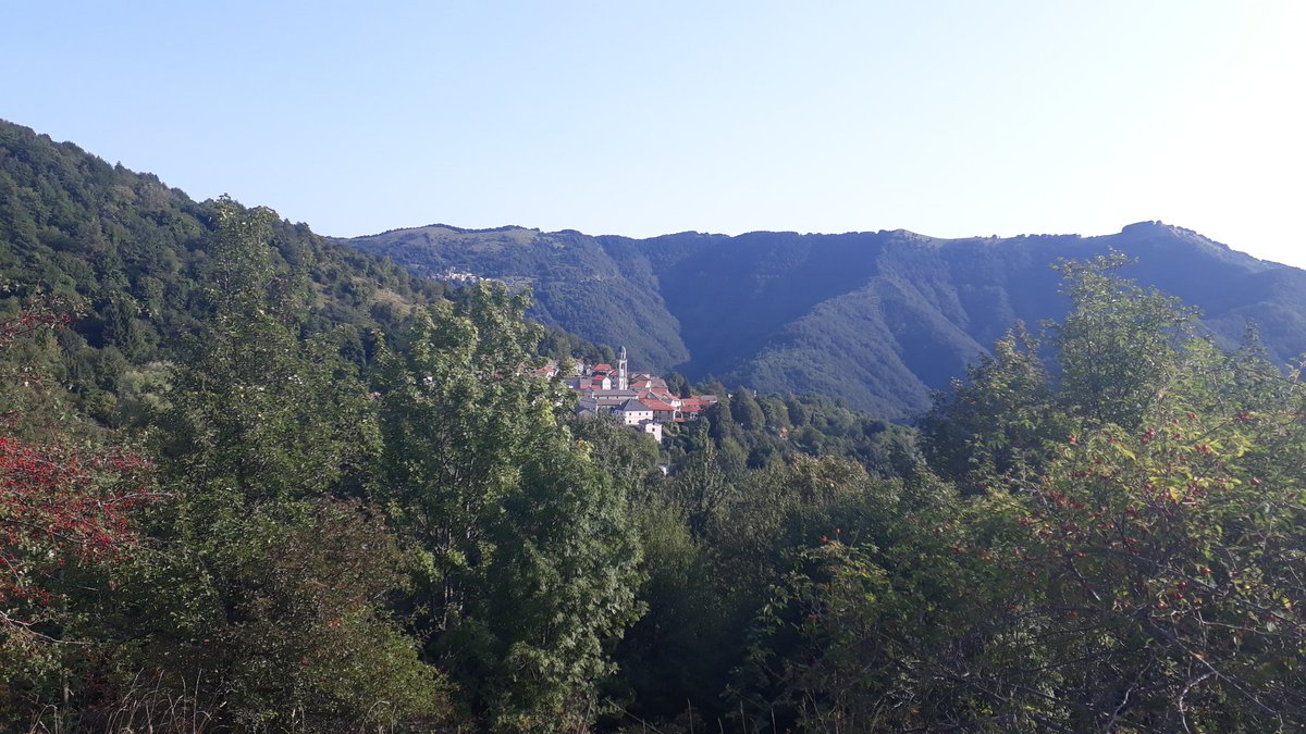 CesareLombardo's tweet photo. Rondanina ora. #viaggioinvaltrebbia #girigiritondi https://t.co/UNDZIy7GvV