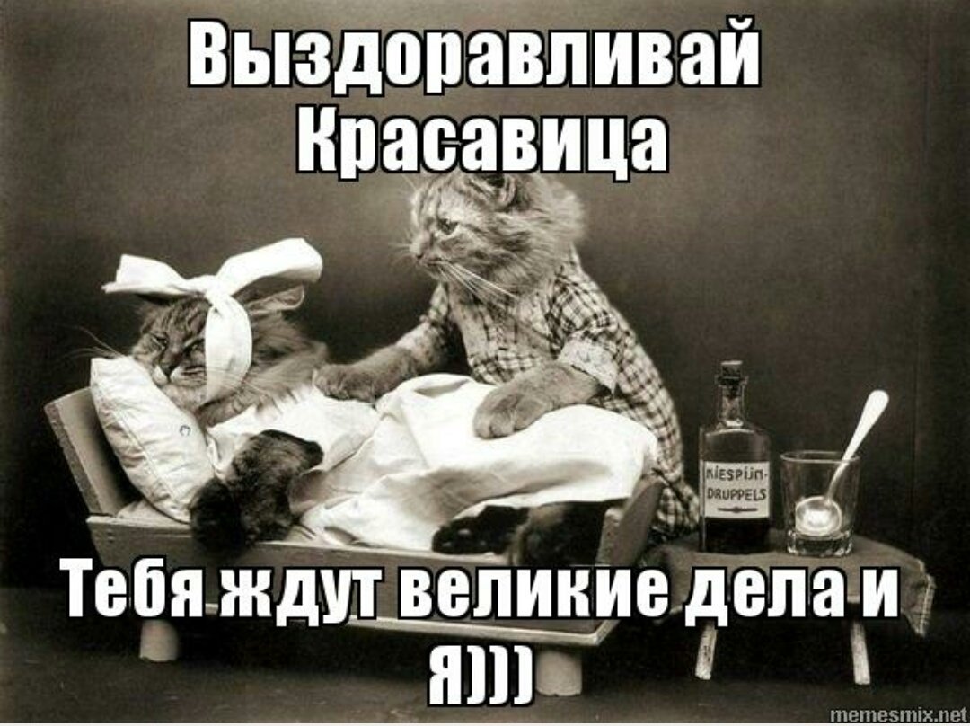 Смешные картинки давай выздоравливай