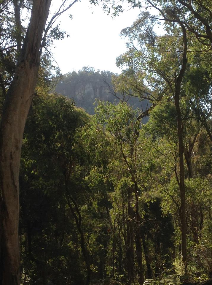 ourstrathforest's tweet photo. Another of our great #strathbogieforest local supporters is Emma Grace. She says:
'Hello, I'm a sustainable jeweller & crafting super hero. I support the Save Our Strathbogie Forest campaign because the bush is magic, beautiful, & full of amazing things like fungi and moss.' https://t.co/1YWj65vea6