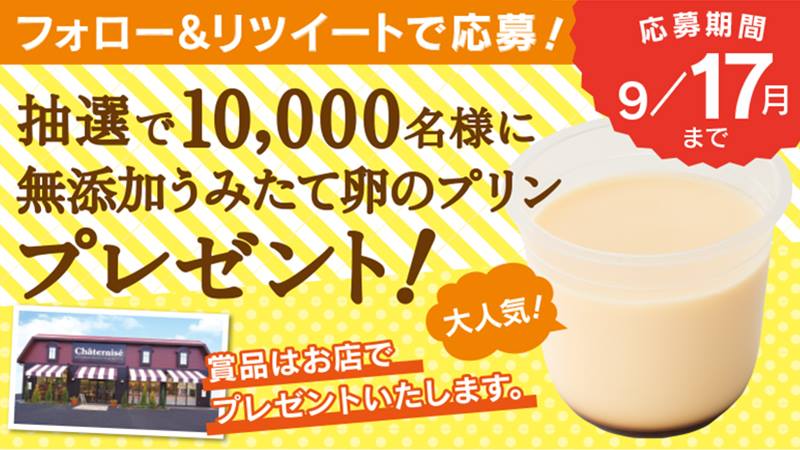 chateraise_jp's tweet photo. 【フォロー＆RTで応募！】
　
抽選で「無添加うみたて卵のプリン」があたる！
プレゼント券を持ってシャトレーゼのお店に行こう🎁
結果はすぐにわかります🎶
　
応募はこちら👇
https://t.co/jvY3Zxaq4g https://t.co/Cl9JHuNnjq