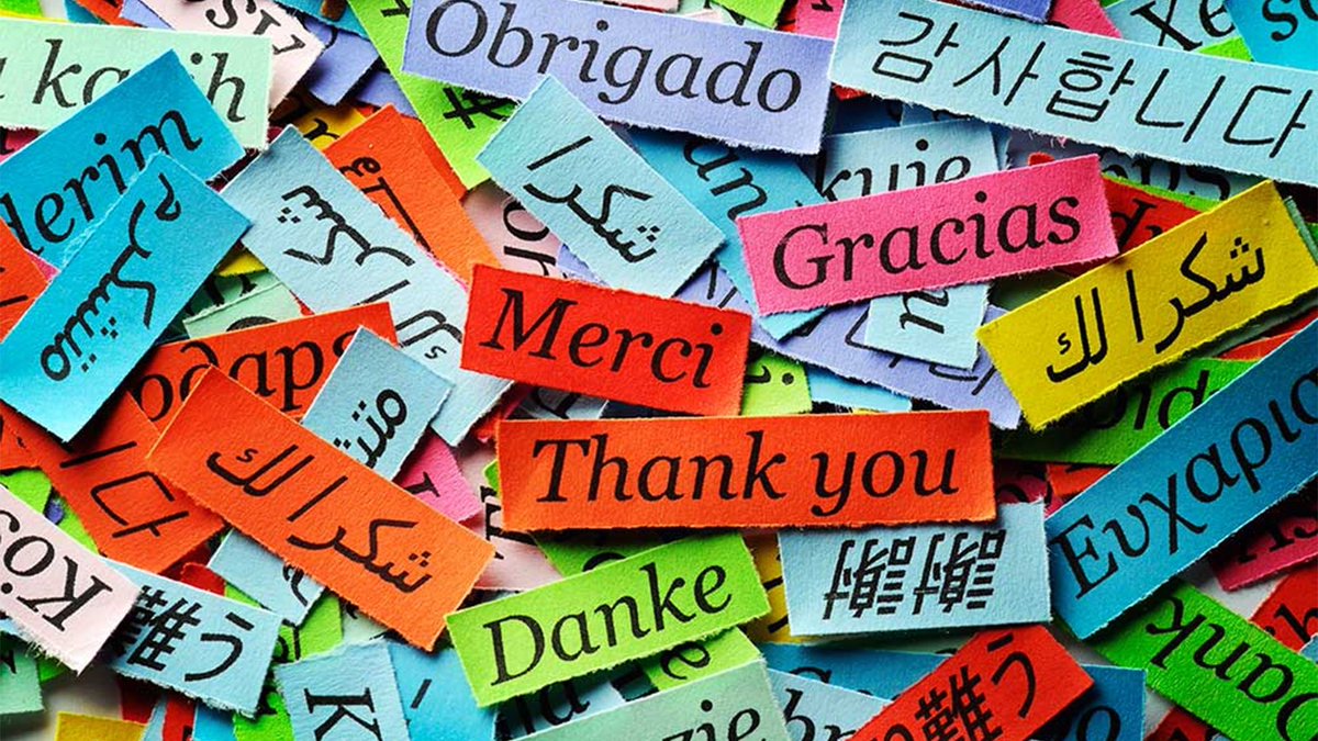 DailyO_'s tweet image. The most obvious argument against #languageimposition | @ganeshkumarRU7 | ow.ly/aeBc30lC4CF