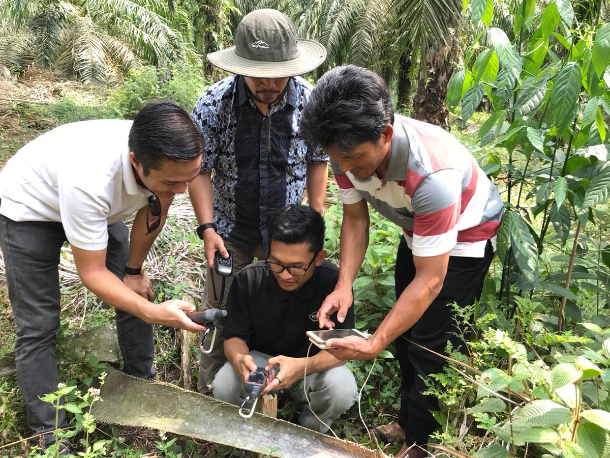 SMART_Sinarmas's tweet image. Kami bersama GeoTraceability mendukung upaya pemasok kami PT Sugih Riesta melakukan survei lapangan di lahan petani swadaya Herianto, anggota kelompok tani Bina Tani. Kegiatan ini mengantar tim survey mengambil batas kebunnya di Indragiri Hulu, Riau #SMARTEvent