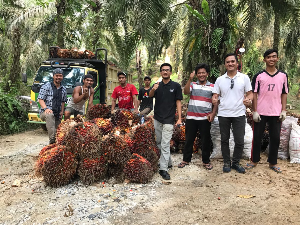 SMART_Sinarmas's tweet image. Kami bersama GeoTraceability mendukung upaya pemasok kami PT Sugih Riesta melakukan survei lapangan di lahan petani swadaya Herianto, anggota kelompok tani Bina Tani. Kegiatan ini mengantar tim survey mengambil batas kebunnya di Indragiri Hulu, Riau #SMARTEvent