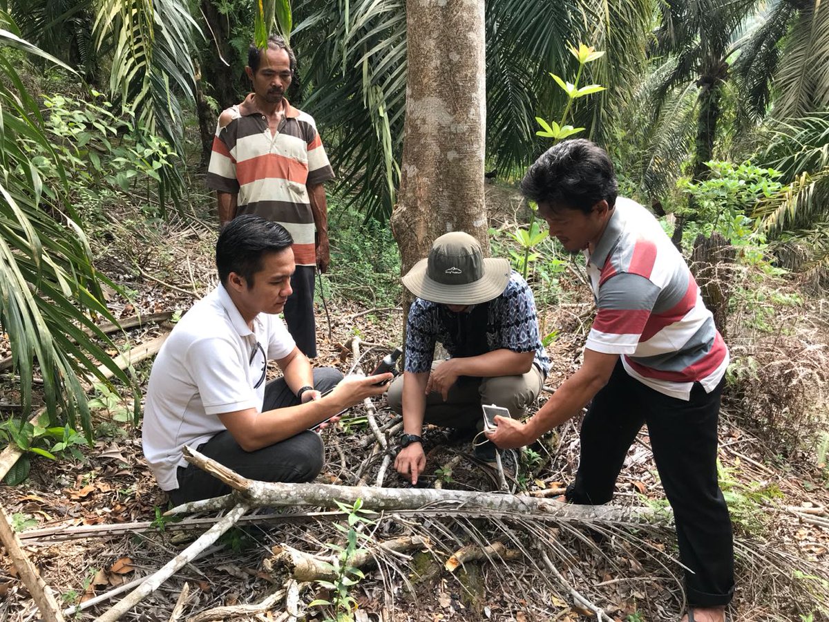 SMART_Sinarmas's tweet image. Kami bersama GeoTraceability mendukung upaya pemasok kami PT Sugih Riesta melakukan survei lapangan di lahan petani swadaya Herianto, anggota kelompok tani Bina Tani. Kegiatan ini mengantar tim survey mengambil batas kebunnya di Indragiri Hulu, Riau #SMARTEvent