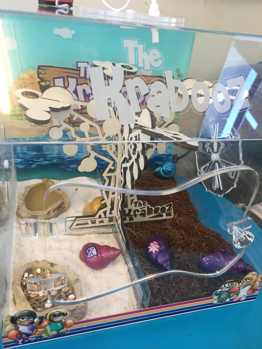 Alyce Sullivan tweet media