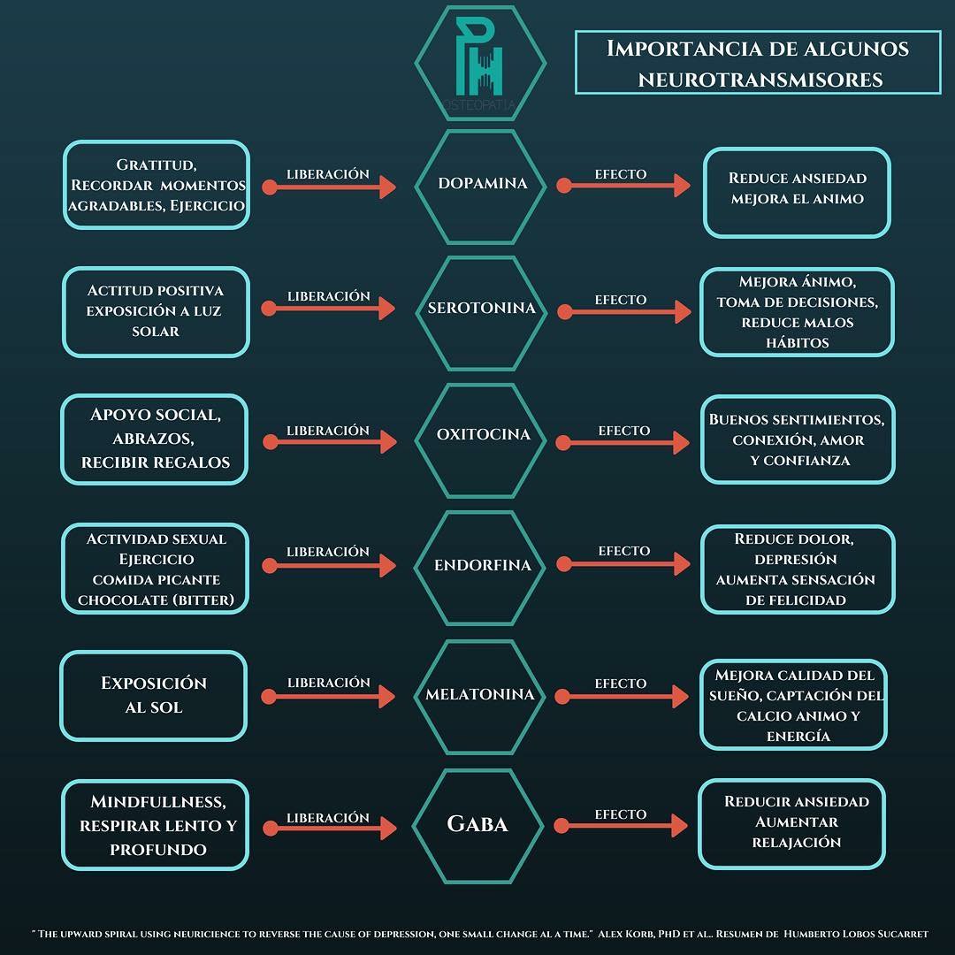 osteosur's tweet photo. La liberación de ciertos neurotransmisores a través de diferentes acciones personales y sociales genera multitud de beneficios en nuestro organismo. 
¡Aquí dejamos un fantástico esquema resumen muy a tener en cuenta en nuestro día a día!
#Fisioterapia #Osteopatía #bienestar https://t.co/jLQKEUuyNq