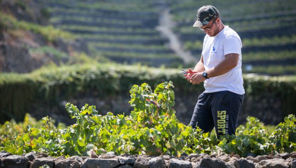 Identità Golose tweet media