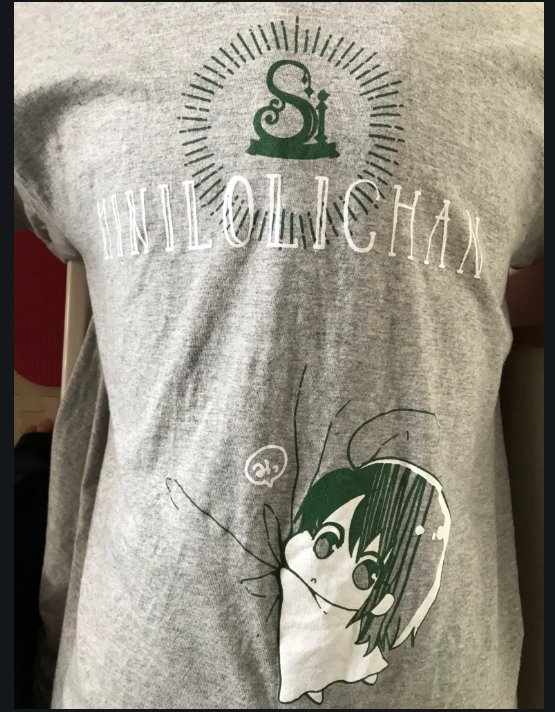 みにろりT現物写真です。
みにろりちゃんがくっついてるデザインです。
そこそこ厚手の生地でゆったりめです。
部屋着にでもどうぞ 