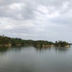 ツイートに含まれる画像