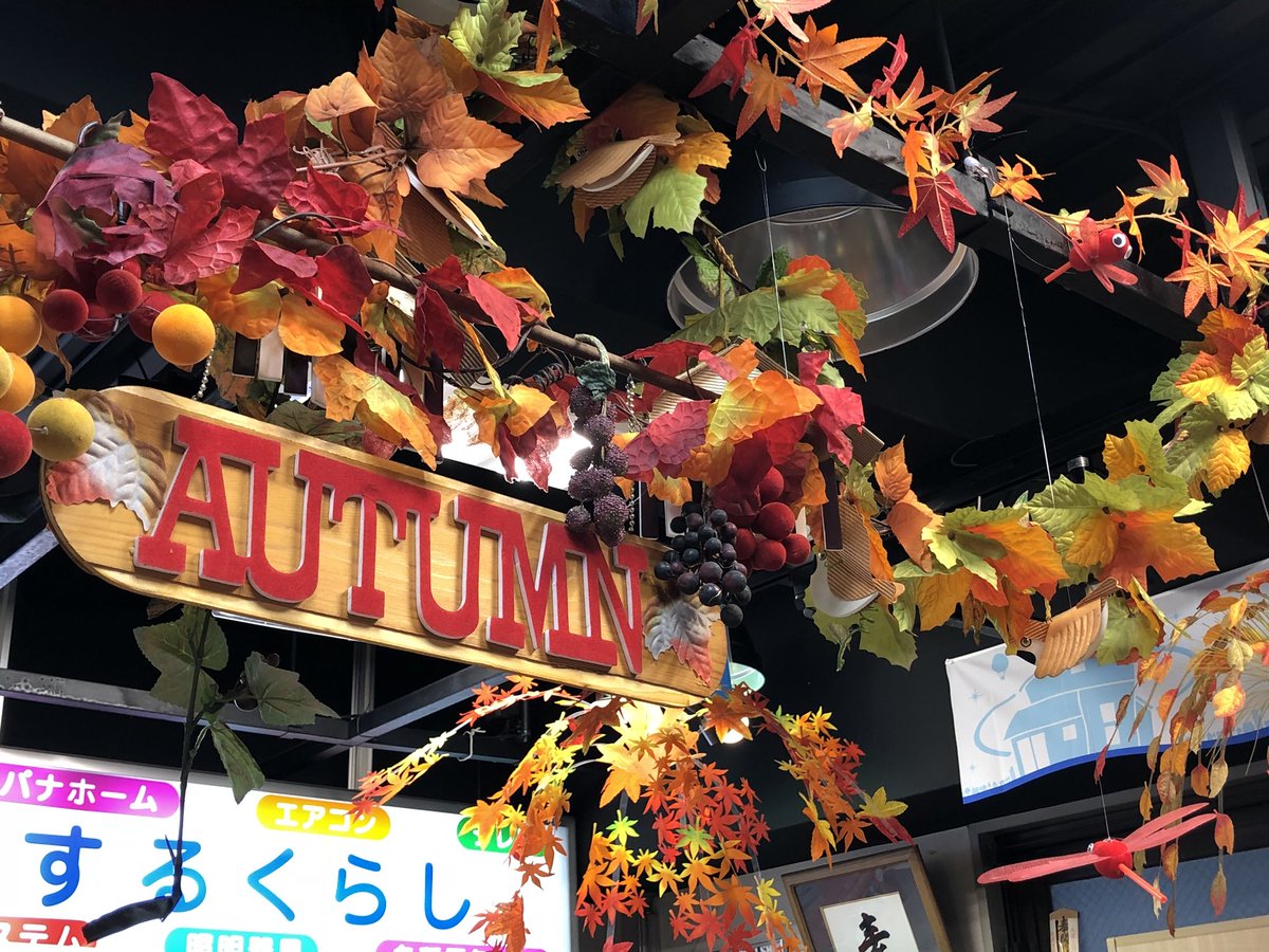 パナハルス三晃 大森町の電気屋 Twitterissa 明日で8月も終わりですね 楽しい夏になりましたでしょうか 店内が秋の飾りになりました 飾り付けは いつも社長のセンスにお任せです 秋は可愛い子たちがいっぱい隠れているので探しに来て パナハルス三晃 大森町の電気屋 Twitterissa 明日で8月も終わりですね 楽しい夏になりましたでしょうか 店内が秋の飾りになりました 飾り付けは いつも社長のセンスにお任せです 秋は可愛い子たちがいっぱい隠れているので探しに来て