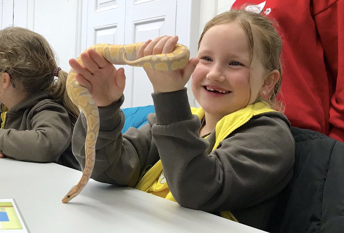 FXU_GenWild's tweet photo. We delivered 32 outreach sessions for local schools and children's groups in 2017/18!! 🦋 Here's to another wonderful year of inspiring children and young people to embrace the natural world 🌿🦉🐝 https://t.co/182FkpSYF5