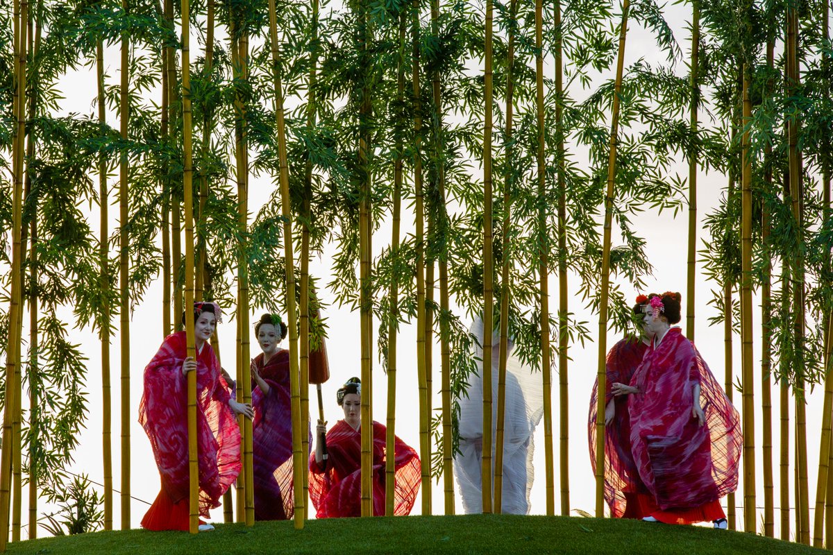 EventCinemaLys's tweet image. ¡¡Solo queda una semana!! El próximo jueves [6/9] a las 18:35h te esperamos en @cineslys para disfrutar de #MadamaButterfly de @OperaAustralia desde el fabuloso escenario sobre la bahía de #Sydney. ¡No te la pierdas!
cineslys.com/peliculas/mada…
#SummerOpera