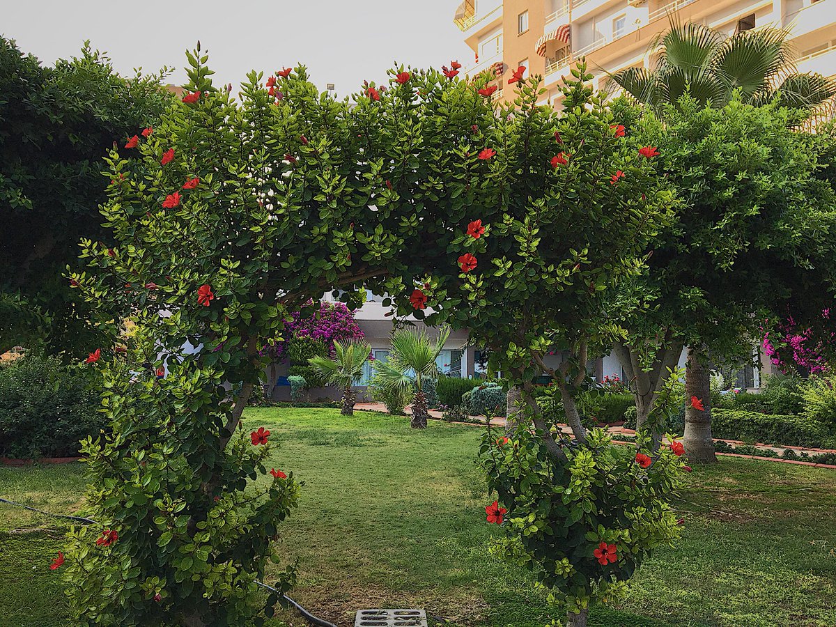 oulasah's tweet photo. Some things have to end in order to stay beautiful. https://t.co/nR5h57jU7a