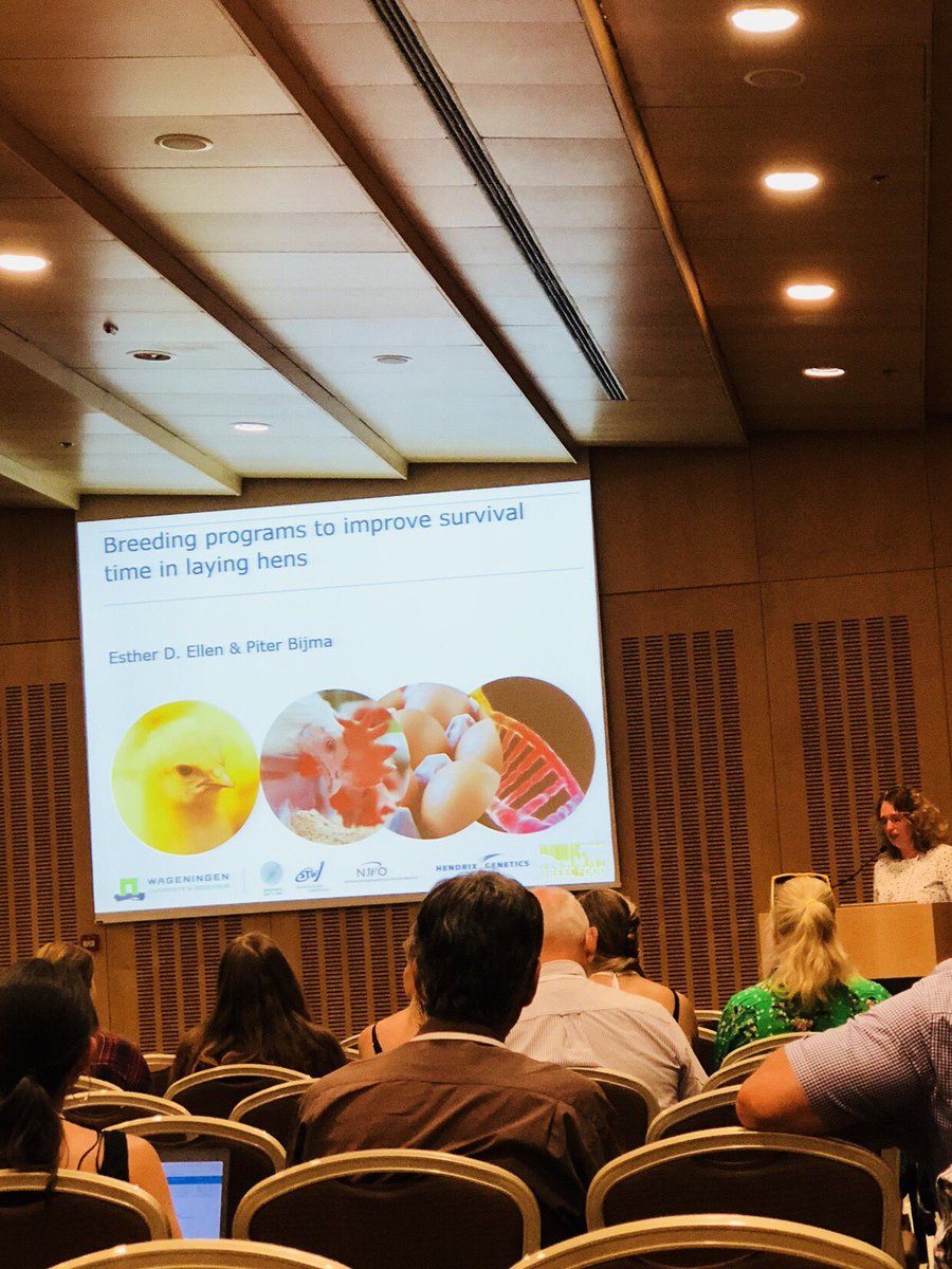 BIATY RAYMOND tweet media