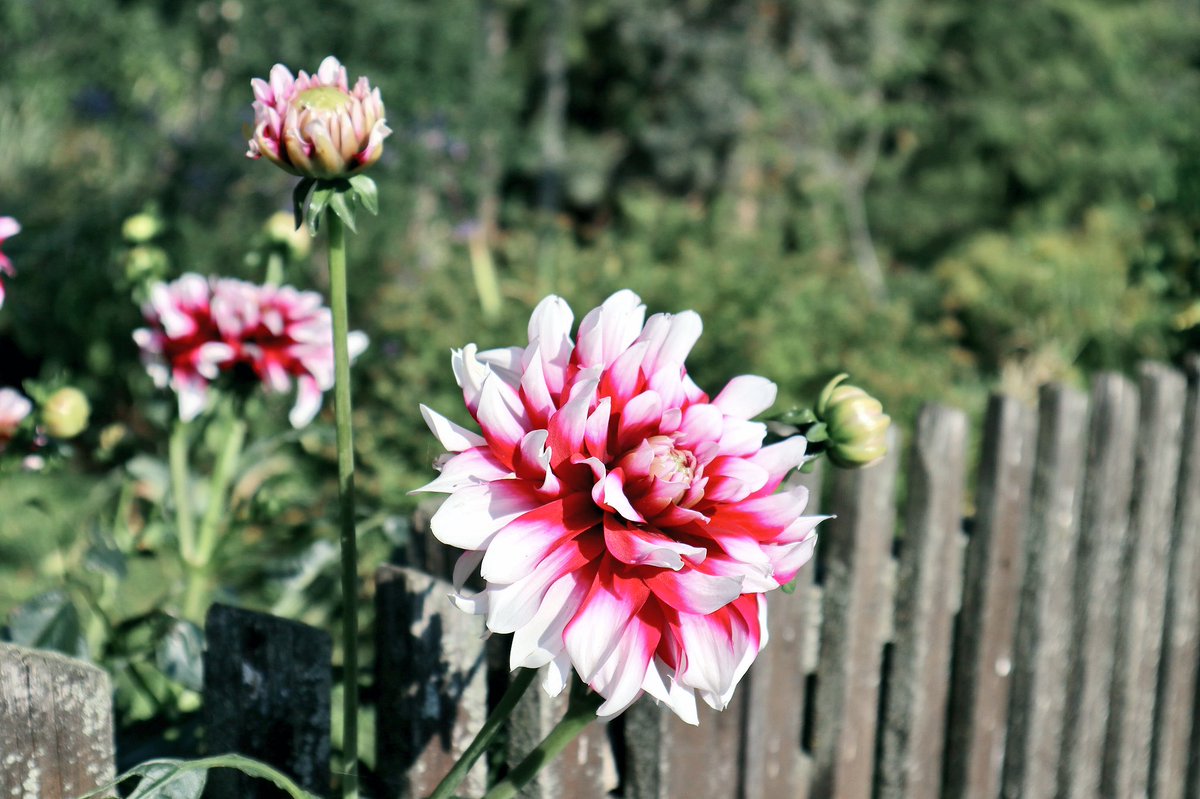 TSMMama's tweet image. #fashionmom #avventura