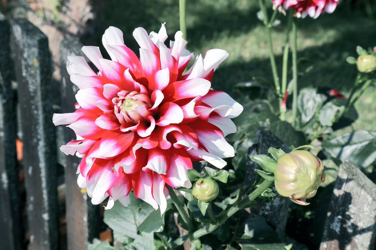 TSMMama's tweet image. #fashionmom #avventura