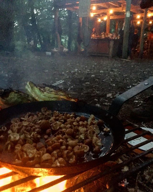 Frazzling some fine London fairy ring mushrooms on the fire, to pour over a beefsteak fungi & cep-stuffed giant puffball roasting in @huntergathercook ‘s clay oven.
#wildstuff
#fungi
#playingwithfire ift.tt/2wrpRIe