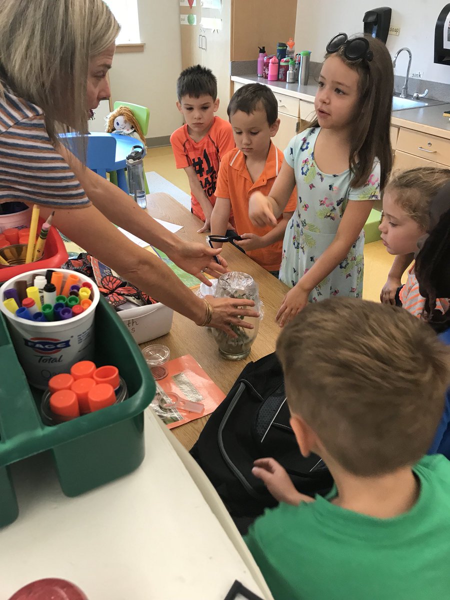 CCSLearns's tweet photo. It was an exciting start to Day 2 in Kindergarten as students discovered that a monarch had emerged!
#ccslearns #cvsdvt #VTed https://t.co/wZ0VrzuixY