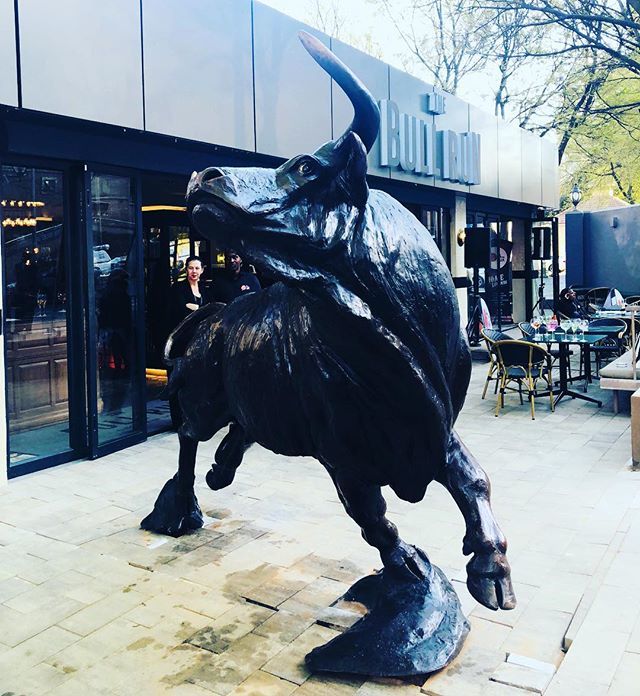 Feeling bullish on Maude Street Sandton where the newly refurbished @thebullrun01 has a new icon by sculptor <a href="/canadasmichael/">michael canadas</a>, opposite the Johannesburg Stock Exchange #discoverjoburg #johannesburg #joburg #johannesburginyourpocketFeeling bullish on Maude Street Sandton where…