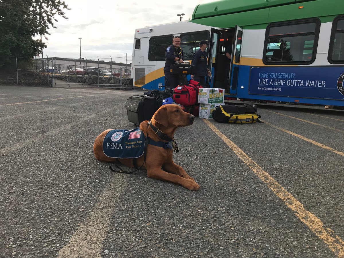WA-TF1 has arrived home safely. Thank you team members, their agencies, &amp; families for the support and dedication. <a href="/CentralPierce/">Central Pierce Fire & Rescue</a> <a href="/PierceCo/">Pierce County, Wash.</a> <a href="/SeattleFire/">Seattle Fire Dept.</a> <a href="/PierceSheriff/">Pierce Co Sheriff</a> @tukwilaFFs2088 <a href="/TacomaFire/">Tacoma Fire</a> <a href="/WoodinvilleFire/">Woodinville Fire</a> <a href="/ValleyFire/">Valley Regional Fire</a> <a href="/CDAFD/">Coeur d'alene Fire</a> <a href="/Southkingfire/">South King Fire</a> <a href="/RDMFireRescue/">Redmond Fire Rescue</a> <a href="/ShorelineFire/">Shoreline Fire Department</a>
