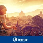 trevisocambio is now one of my followers! Thanks! x.com/trevisocambio 1198 x.com/trevisocambio