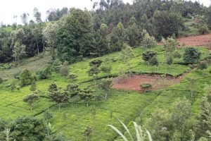 InterSuper1's tweet image. Read Blog Articles, See original Images and Watch online Videos on YouTube by InterSuper

intersuper.co.uk/travel