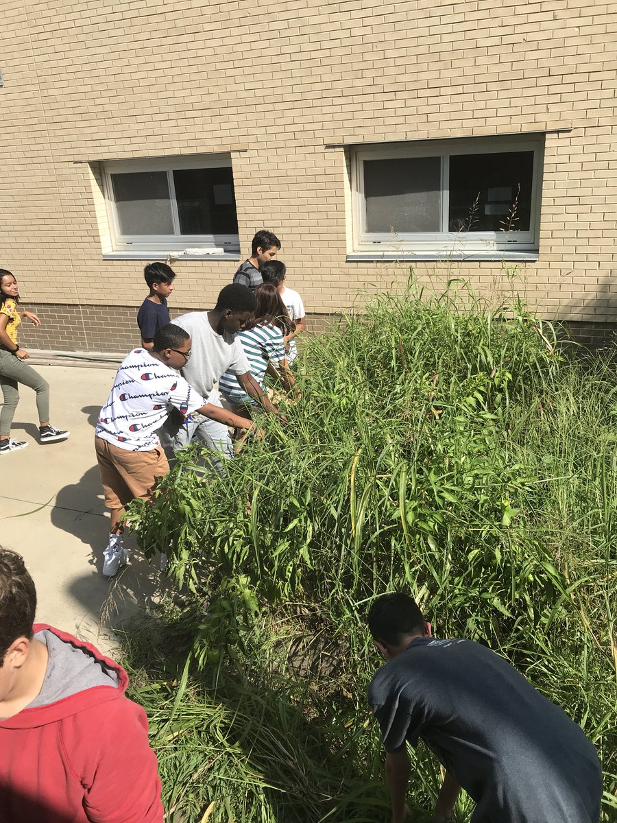 MrWolfTech's tweet image. Proud of these kiddos knocking out some weeds in the garden. The collaboration here is great!#EWStrong #WMS