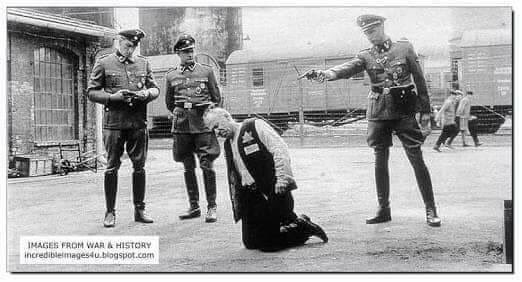 PAKDefenderz's tweet photo. @geertwilderspvv Here is your freedom or #Feardom 😂😂😂 Please remember the history 👌👌😋 https://t.co/TFjsbf5RUU