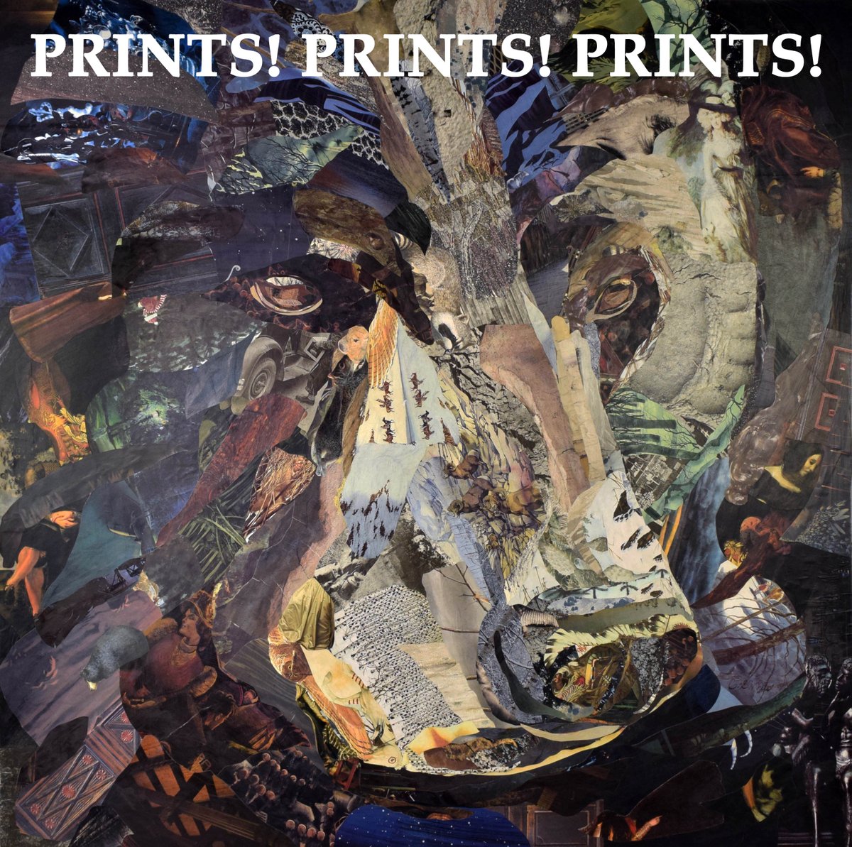 cewhiteart's tweet photo. Did you know many of my works are available as prints at this link? https://t.co/3F1hyOhffX #art #collageart #prints #cewhiteartist #collageprints #instaart #wallart #wildlifeart #animalart #artprints #uniqueart #paperart #paperpaintings #recycle #recycledart #repurposed #collage https://t.co/Tt3zlBxe3Z