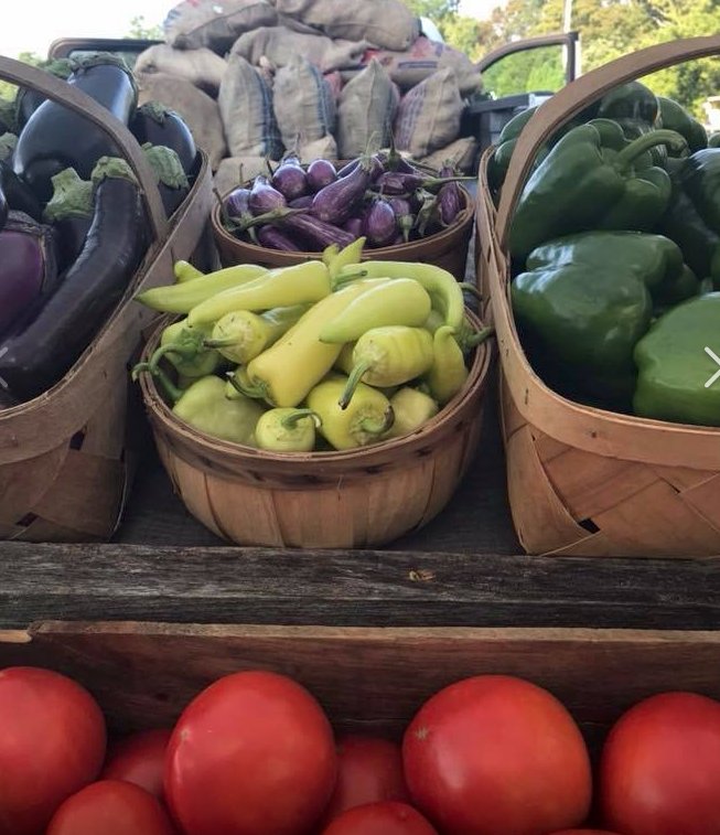 buyfreshcapecod's tweet photo. The long #weekend is almost here! Stock up on local #CapeCod goodies at today's Falmouth Farmers' Market and Harwich Farmers Market at Brooks Academy. Info here https://t.co/mOEgjvJVmw  #ThursdaytJOUGHTS https://t.co/j9B4s200rW