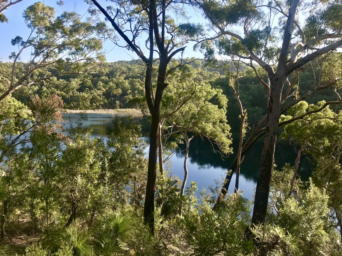 BritGeoSurvey's tweet photo. In our latest #GeoBlogy, @charlie_maxson a PhD student between the @UniofAdelaide @UniofNottingham & @BritGeoSurvey tells us about his research looking at #Holocene #rainfallvariability & #humanimpact in subtropical #Australia (there are even #kangaroos!) https://t.co/lr2bH7kkn3 https://t.co/ugPZJJYNK0