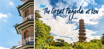 CSSC_Official's tweet photo. Our members can already get 15% off of entry into @kewgardens, simply with a 'card show', but now you can climb the 253 steps to the top of the Great Pagoda for free with a friend!
Download free voucher β‘οΈ https://t.co/OQGzO8bAOm
#DaysOutTogether #CSSCMemberBenefits https://t.co/qPBW217NSD