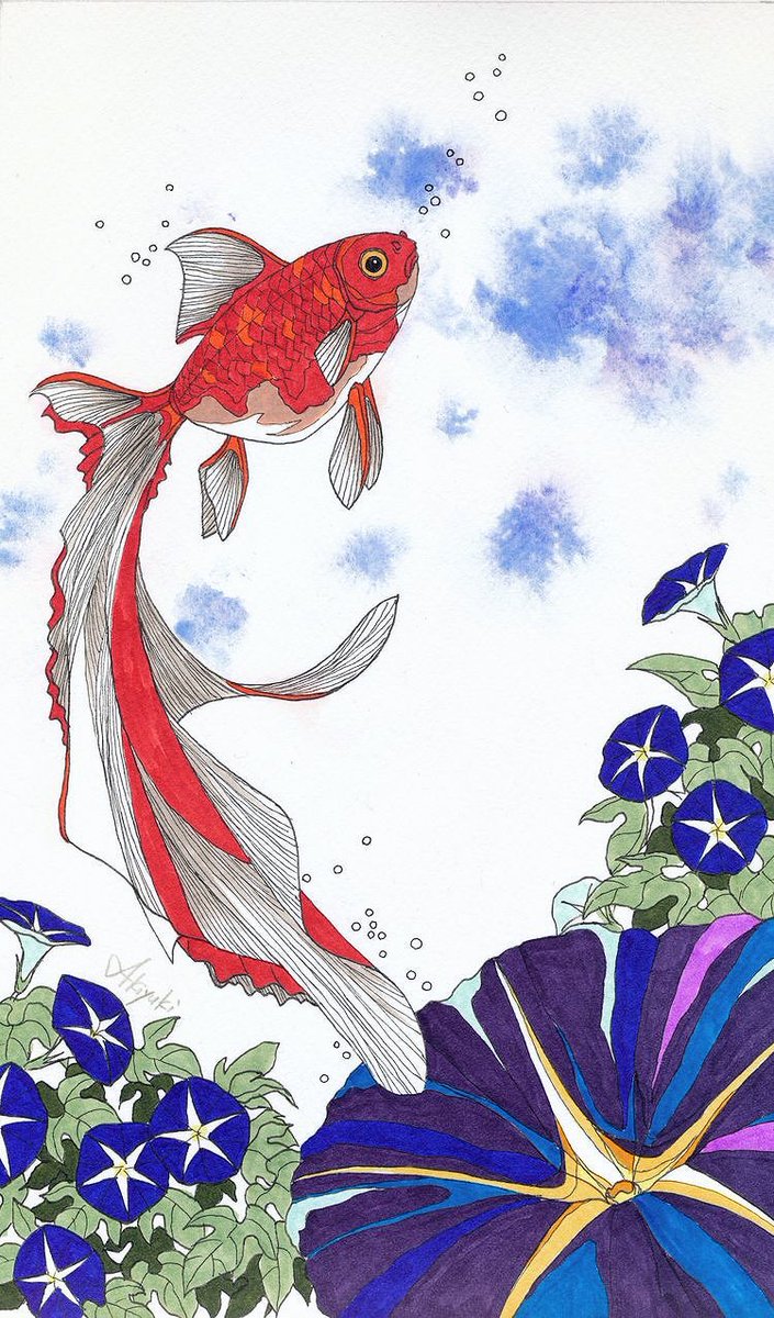 アキユキaq 残暑厳しい日が続きますね 過去絵ですが金魚イラストでお涼みくだされ 金魚 金魚イラスト 残暑見舞い コピック 動物イラスト