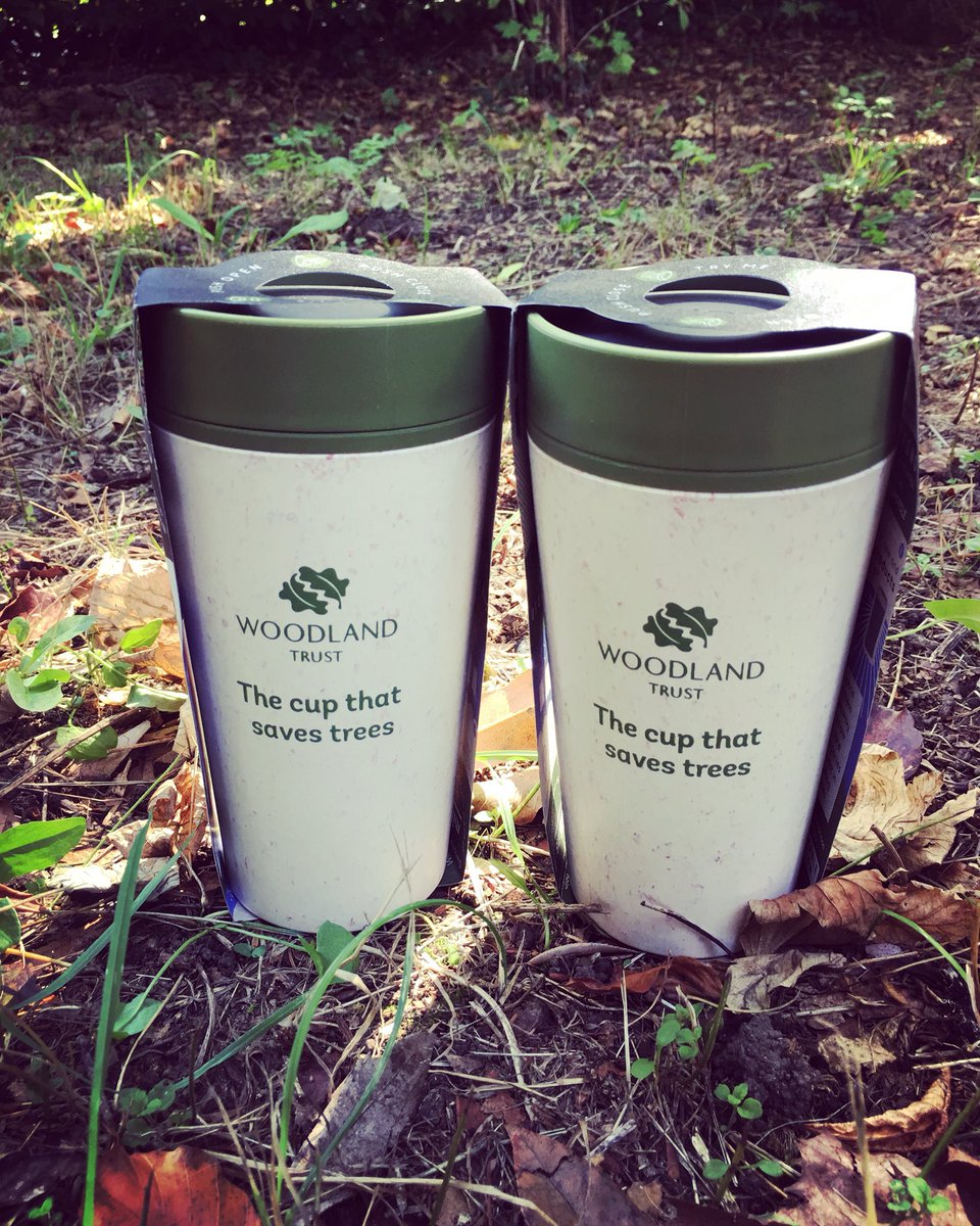 Rebecca Chaplin tweet media