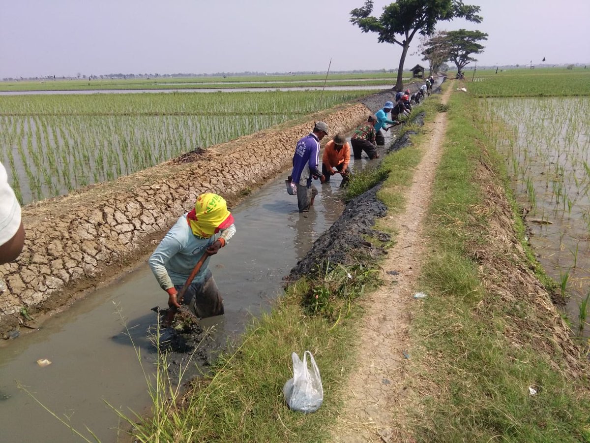 Aepgalon's tweet photo. Padat Karya Tunai (PKT) Ds. Batangsari kec. Sukasari kab. Subang
Terima kasih Pa @jokowi @EkoSandjojo @KemenDesa @SatgasDanaDesa #desa membangun Indonesia https://t.co/Y2iV0adzr8