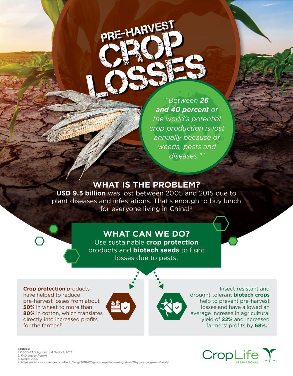 FMCCorp's tweet photo. #DYK that nearly 10 billion USD was lost between 2005 and 2015 due to plant diseases and infections? Learn more below! #SaveOurCrops https://t.co/o0lZEjF1Tw