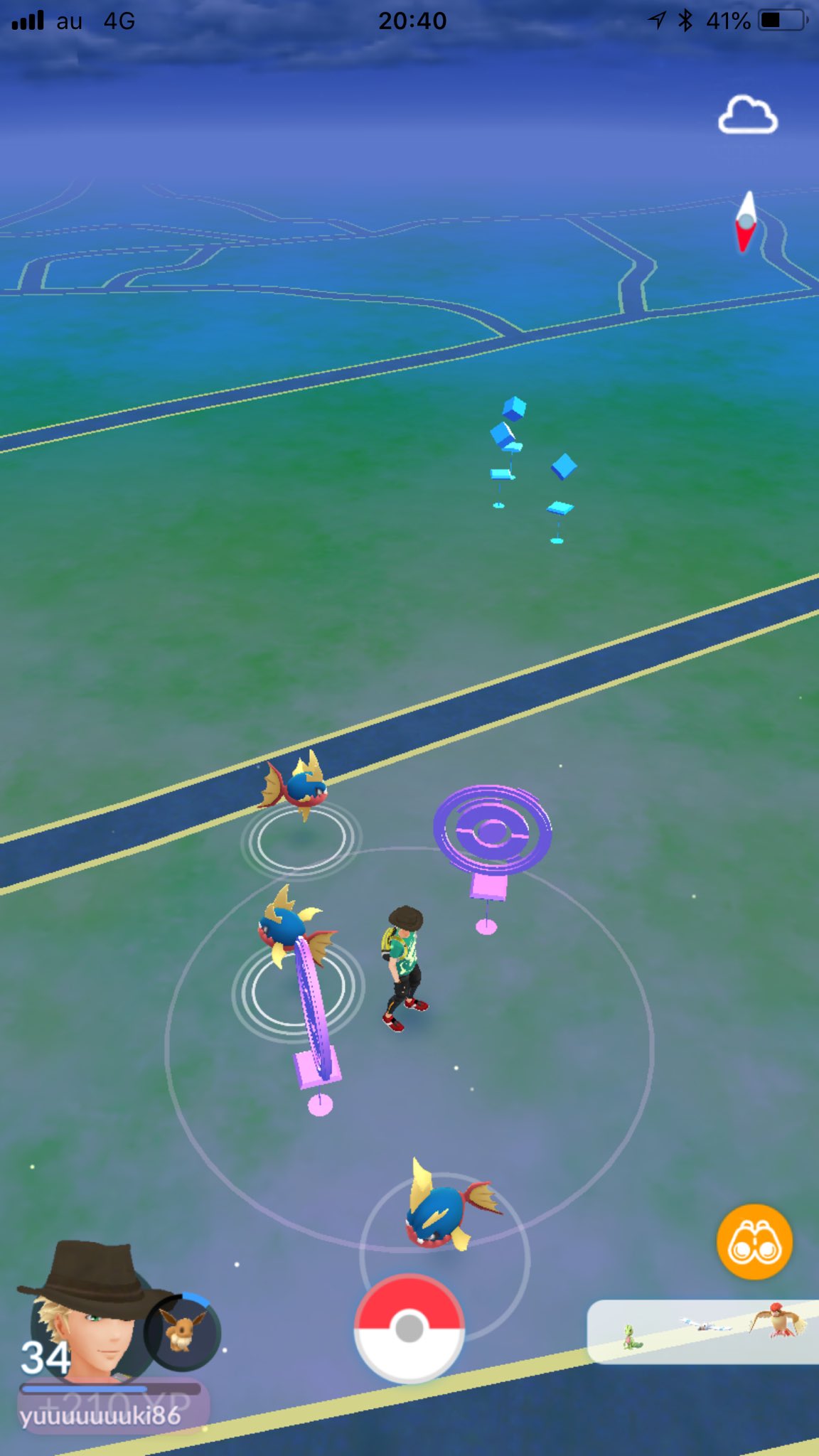 ですよ 1枚目 カビゴンが合成して あぁ体がぁ 2枚目 ピンク色のポケモンが揃った 3枚目 ニアバイにホウエン地方の御三家 がいるの初めて見た 4枚目 ここはキバニアの巣なのか T Co gcj56zzc Twitter