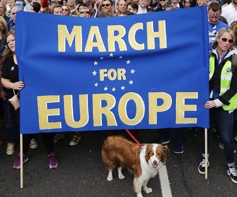 Two legs or four, the EU makes sense to everyone! #ProEU #ProEurope #AntiBrexit