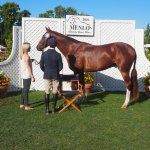 ALivelyLife's tweet image. Horsing Around at the Menlo Charity Horse Show You don’t have to travel to the Rio Olym rviv.ly/AhcCb